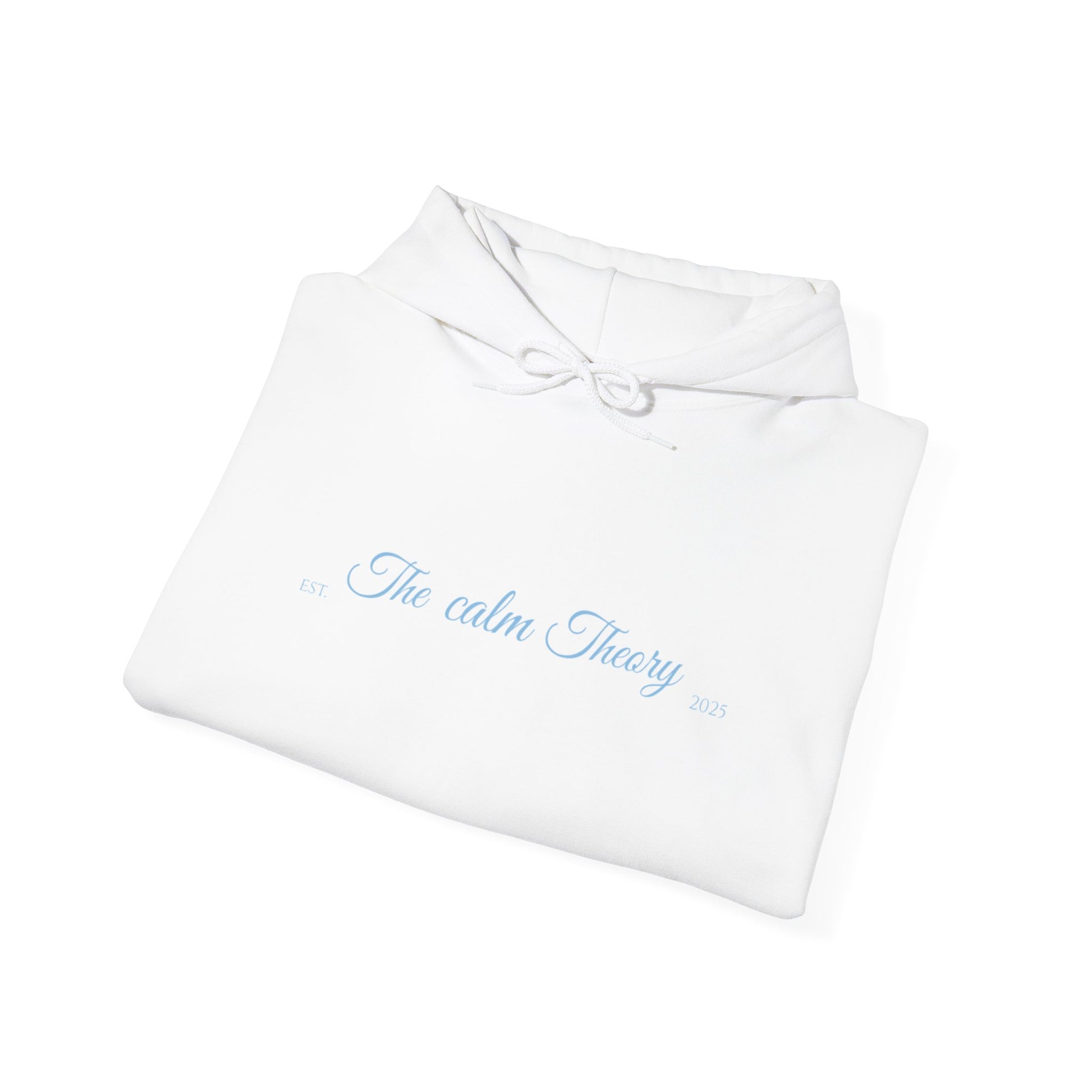 Calm Theory Unisex Hoodie