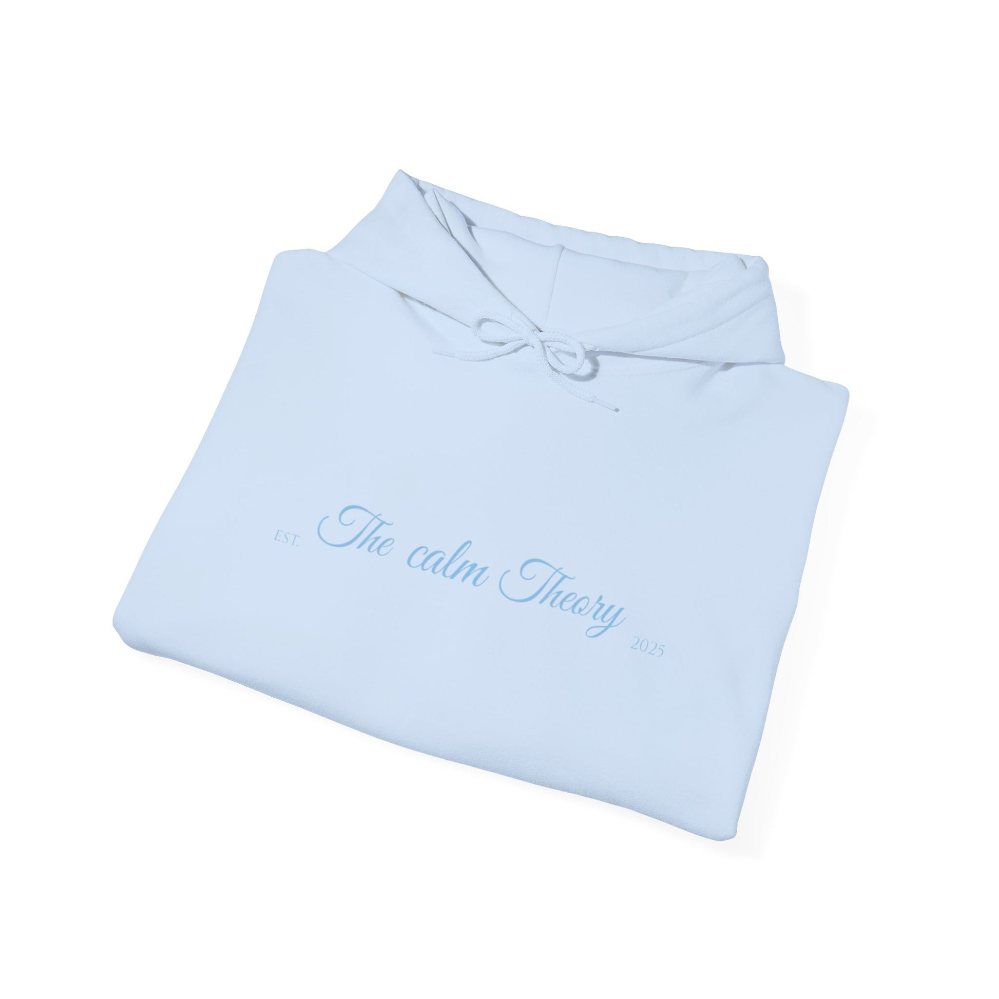 Calm Theory Unisex Hoodie